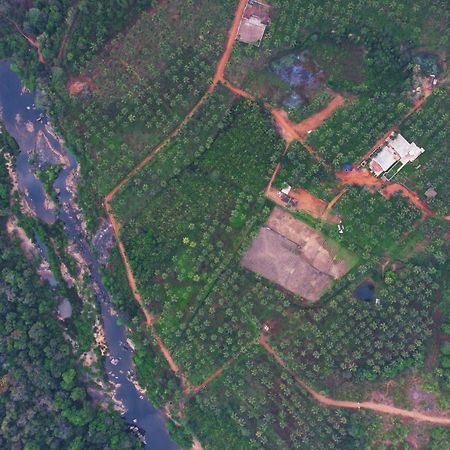 Beautiful Farm House & Villa - Monappa Estate - Top Rated Udupi Buitenkant foto