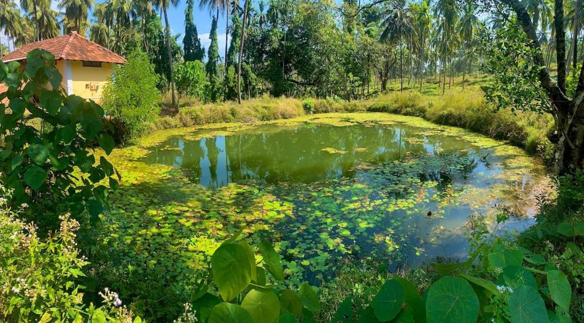 Beautiful Farm House & Villa - Monappa Estate - Top Rated Udupi Buitenkant foto