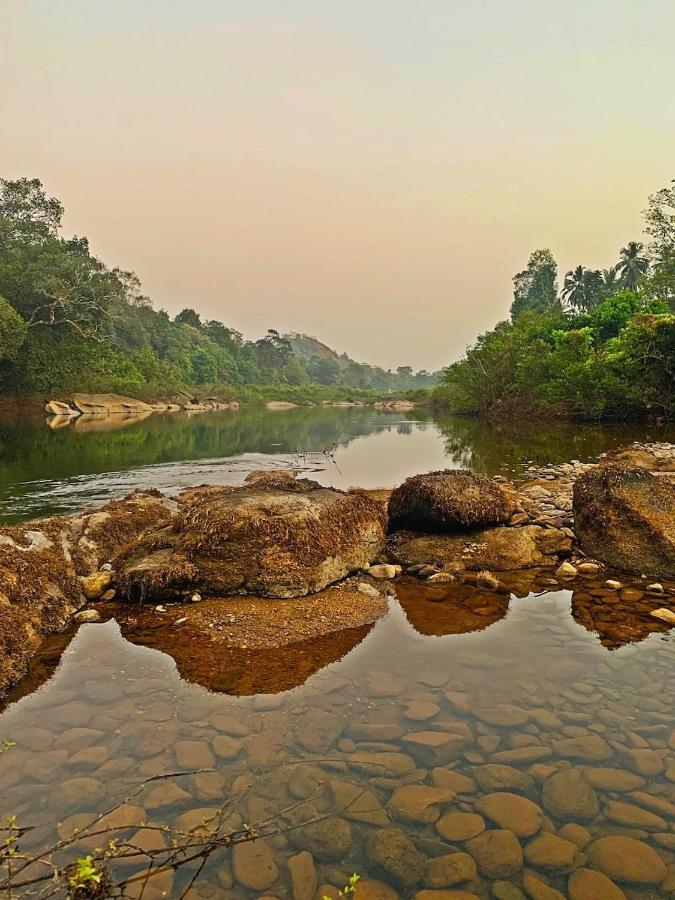 Beautiful Farm House & Villa - Monappa Estate - Top Rated Udupi Buitenkant foto