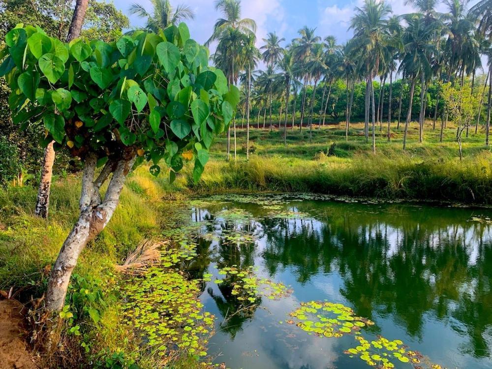 Beautiful Farm House & Villa - Monappa Estate - Top Rated Udupi Buitenkant foto